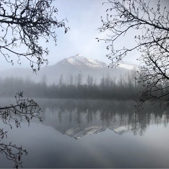 Meet your Posher, Talia - Picture 3 of 5